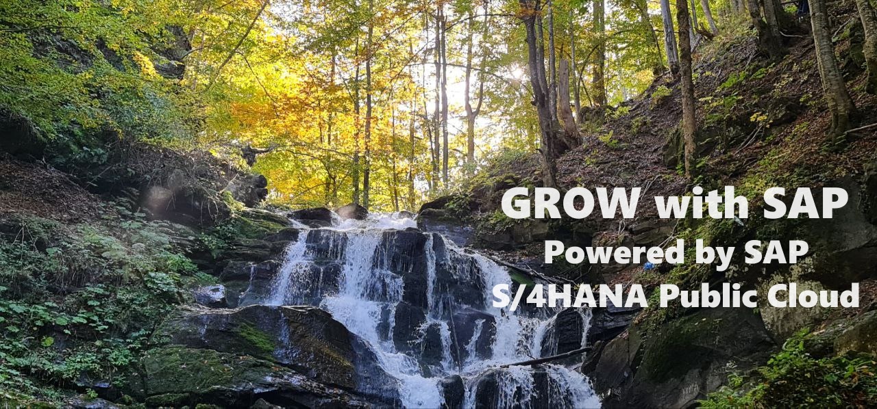 GROW with SAP Powered by SAP S/4HANA Public Cloud
