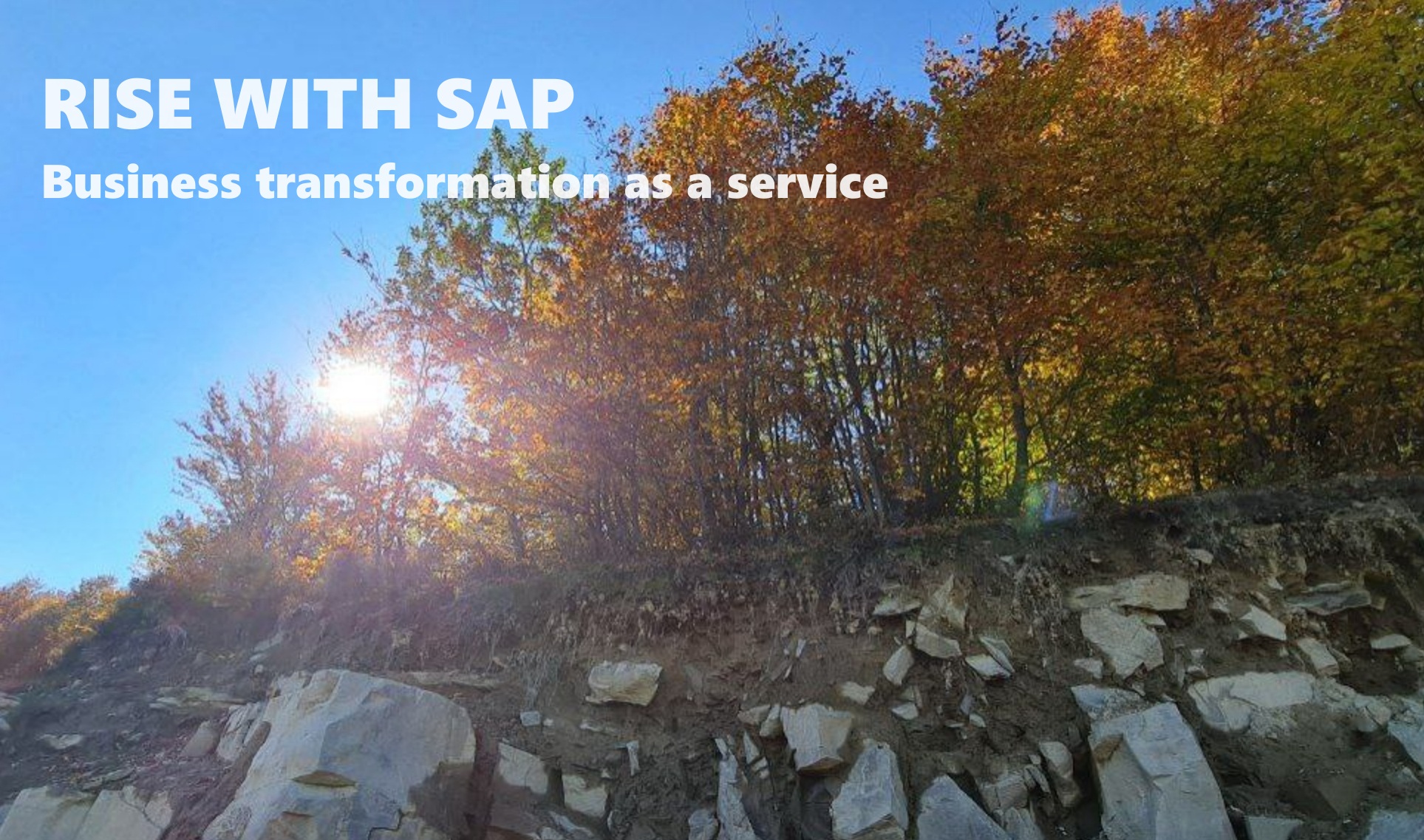 Business transformation as a service