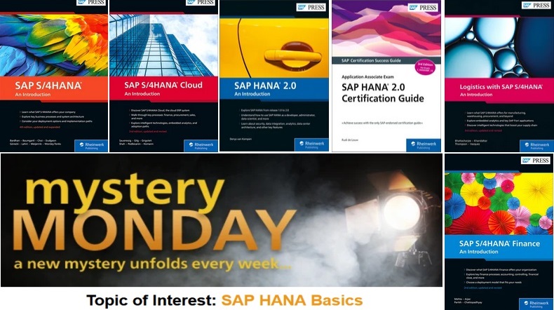 Mystery Monday, SAP HANA Basics