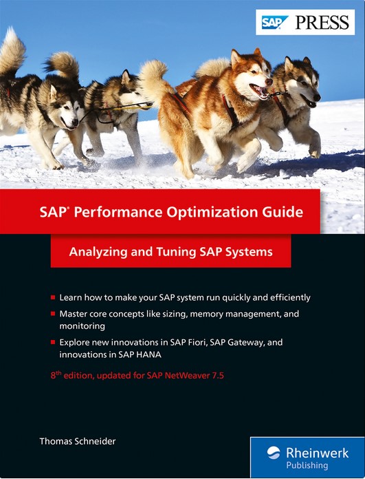 SAP Performance Optimization