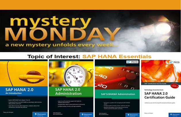 Mystery Monday - SAP HANA Essentials