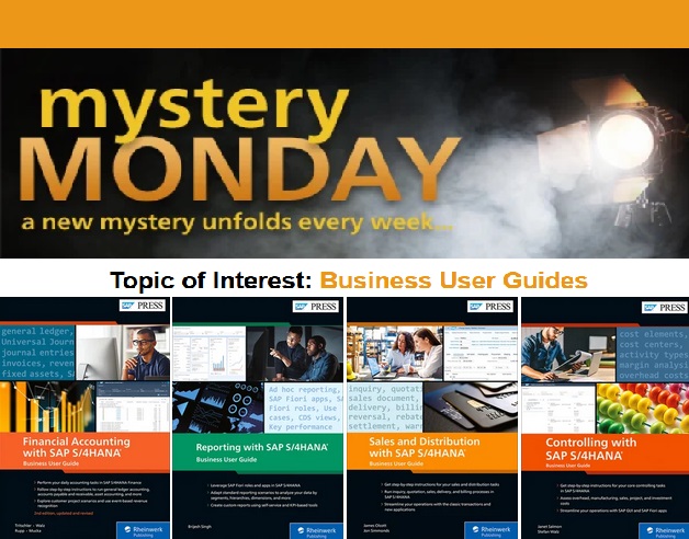 Mystery Monday- business-user-guides