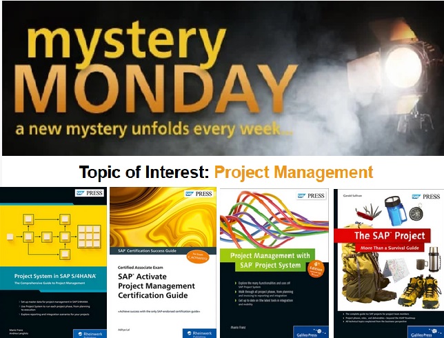 Mystery Monday - Project System